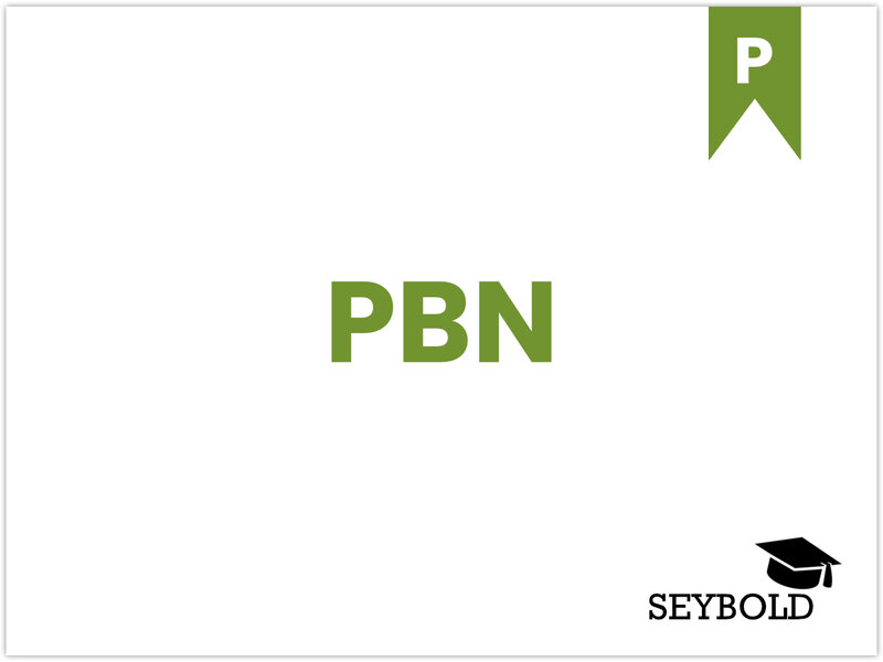 PBN - Begriffe aus SEO einfach erklärt | SEYBOLD