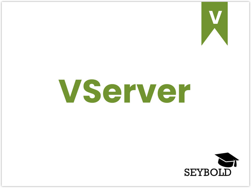VServer VServer- Begriffe aus SEO einfach erklärt | SEYBOLD