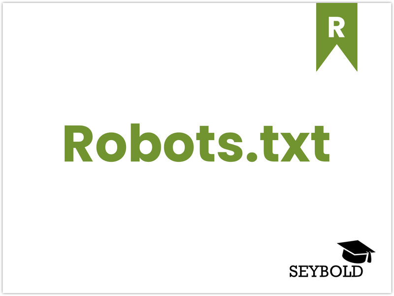 Robots.txt Robots.txt - Begriffe aus SEO einfach erklärt | SEYBOLD