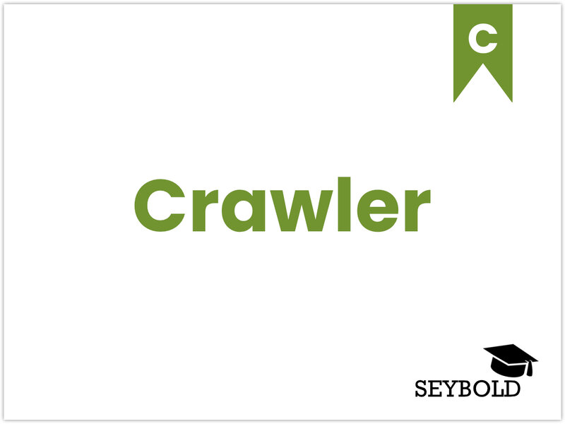 Crawler Crawler - Begriffe aus SEO einfach erklärt | SEYBOLD