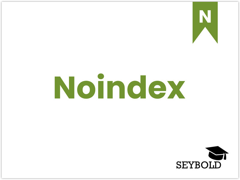 Noindex | SEYBOLD