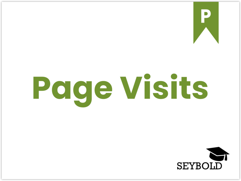 Page Visits - SEYBOLD - Agentur für Sichtbarkeit+
