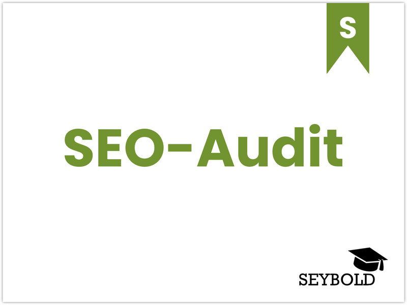 SEO-Audit - Begriffe aus SEO einfach erklärt | SEYBOLD