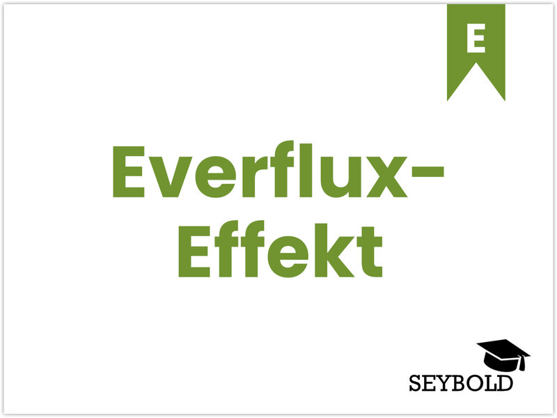 Everflux-Effekt - Begriffe aus SEO einfach erklärt | SEYBOLD