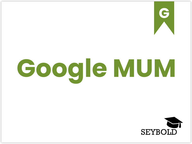 Google MUM Google MUM - Begriffe aus SEO einfach erklärt | SEYBOLD
