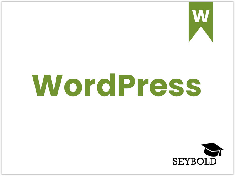 WordPress WordPress - Begriffe aus SEO einfach erklärt | SEYBOLD