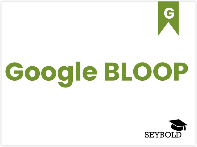 Google BLOOP Google BLOOP - Begriffe aus SEO einfach erklärt | SEYBOLD